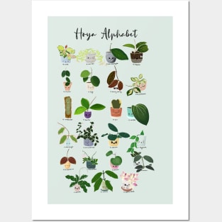 Hoya Alphabet Posters and Art